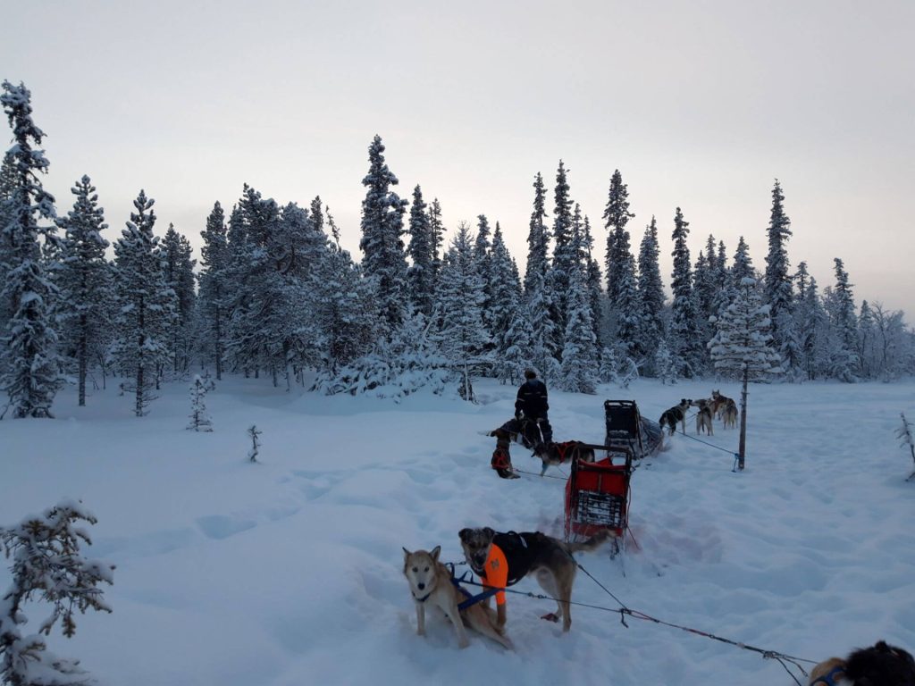 Als leidinggevende kunnen we ons afvragen of je medewerker wel een juiste plek met bijbehorende taak heeft als hij moeilijk te motiveren is.